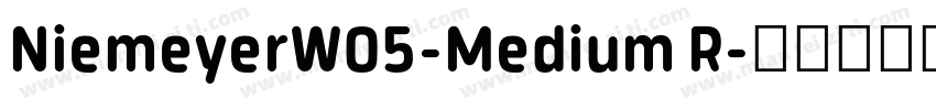 NiemeyerW05-Medium R字体转换